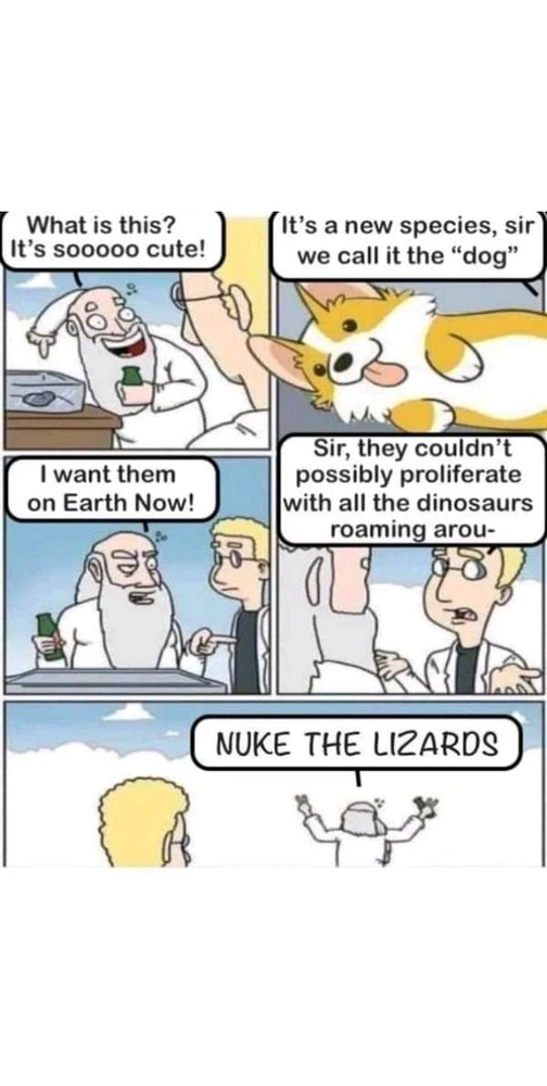 Me tərəfindən yüklənən şəkil