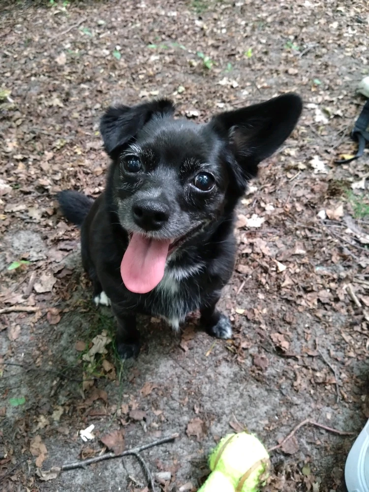 Image uploaded by Eliza 🐉