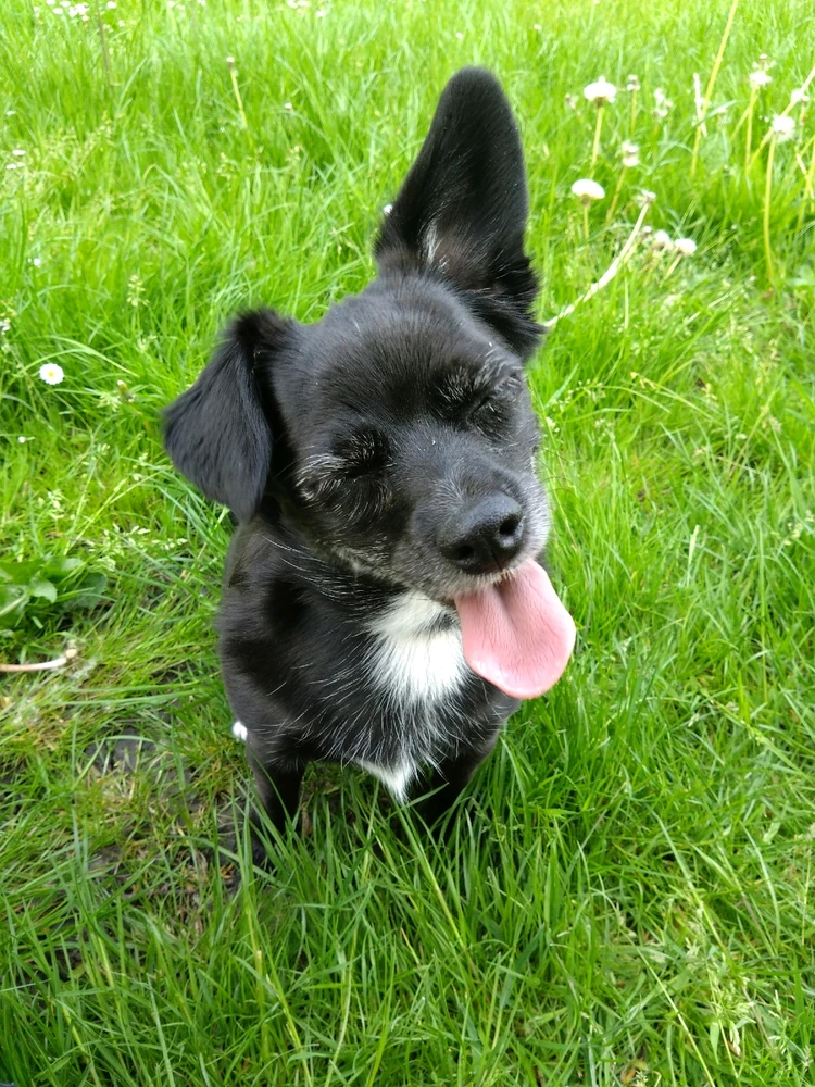 Image uploaded by Eliza 🐉