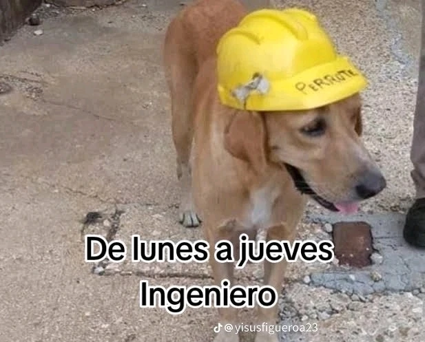 Imagen subida por Irving