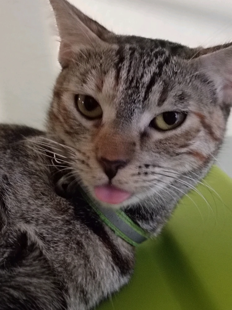 Imagen subida por Marilú