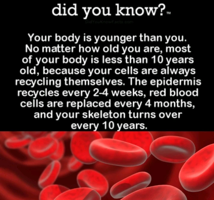 Gambar diunggah dening ♥️ Silly_girl 😘