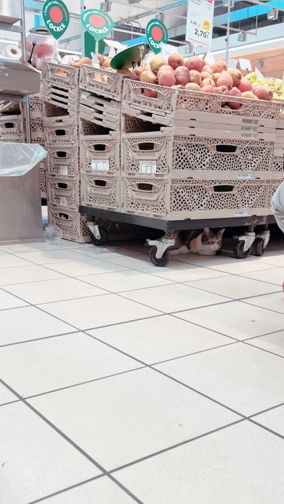 Immagine caricata da Fabio