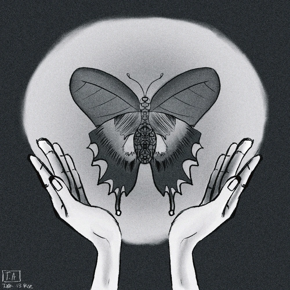 Image ajoutée par Tat