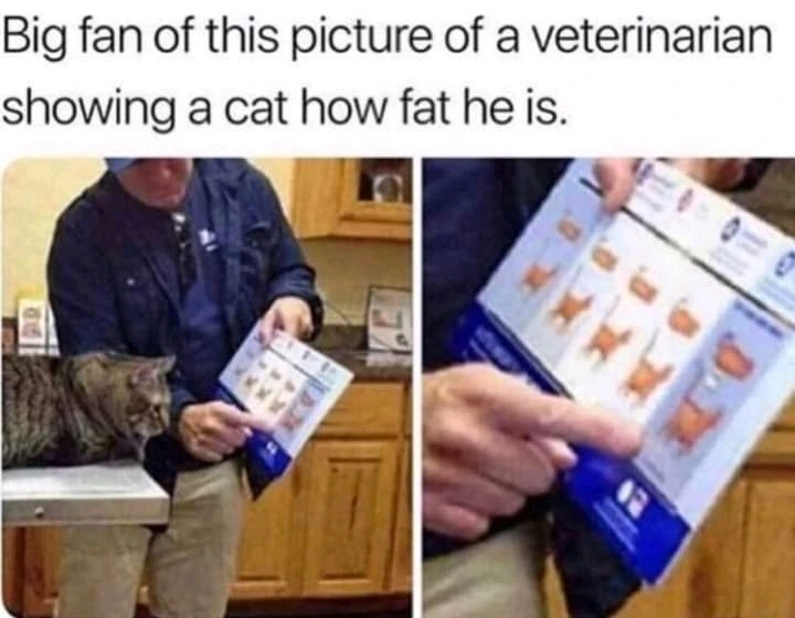 Bild hochgeladen von Christopher