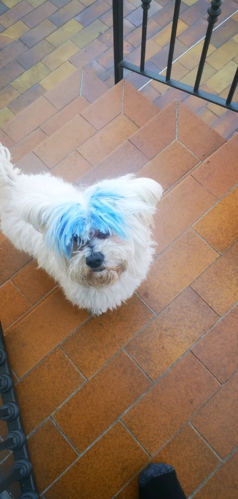 Immagine caricata da Andry