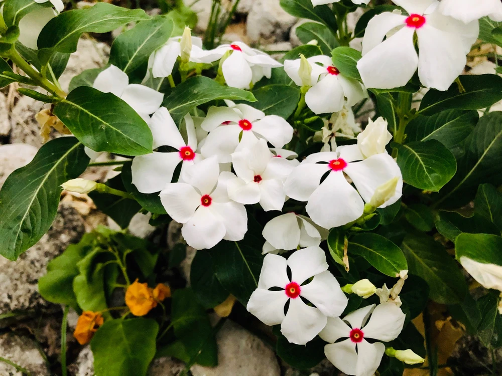 Image uploaded by Kris