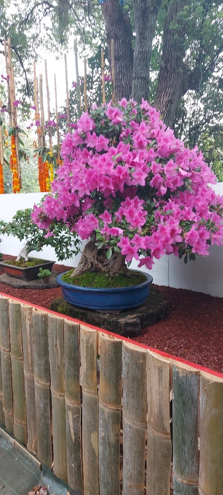 Image ajoutée par Marie