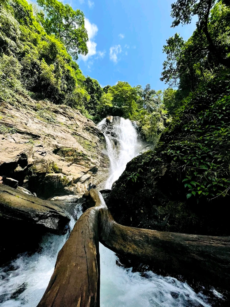 Image uploaded by Naveen Kumar