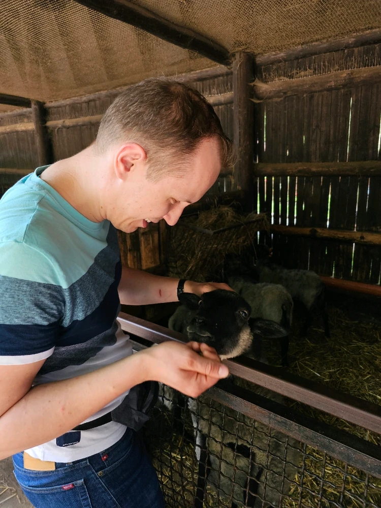 Zdjęcie dodane przez Dave