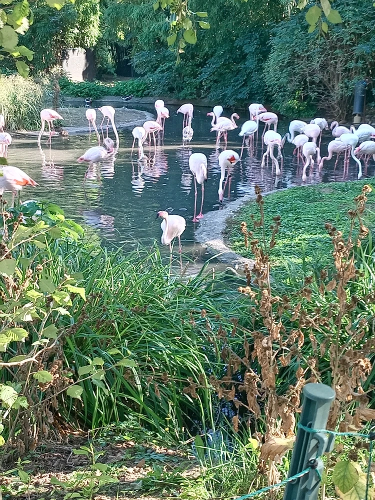 Image uploaded by Linn