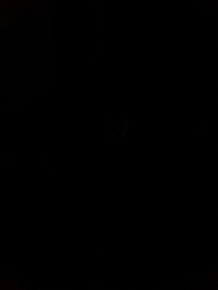 Image uploaded by Suraj Shaw