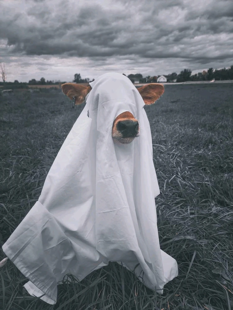 Image uploaded by Erie