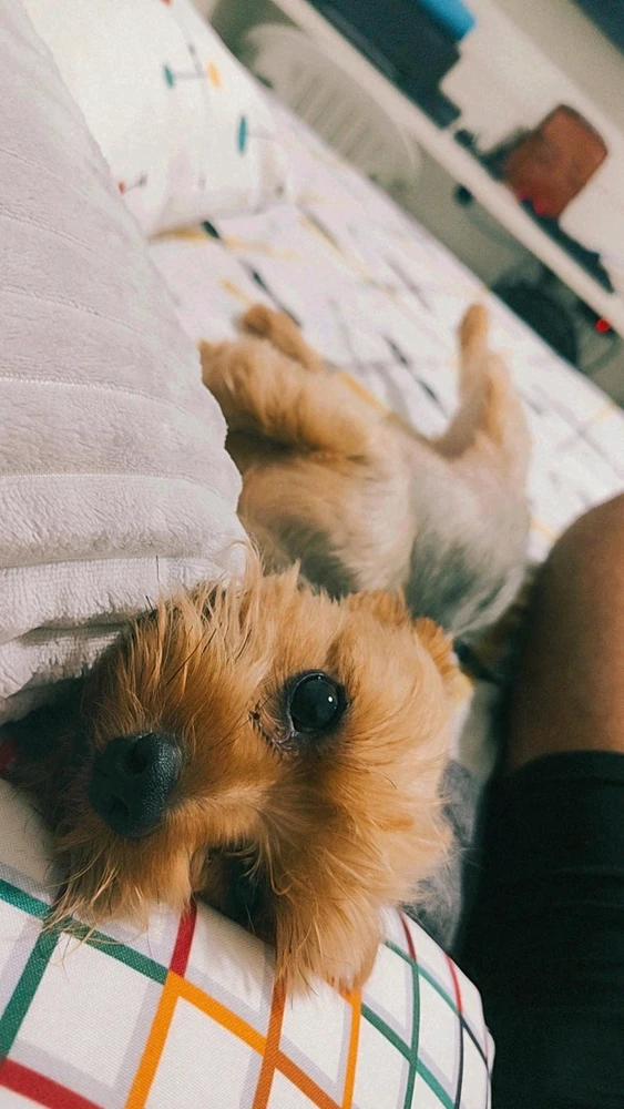 Imagem enviada por Cristian