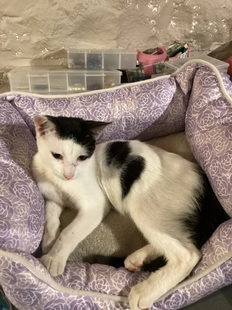 Gambar diunggah dening Beverly