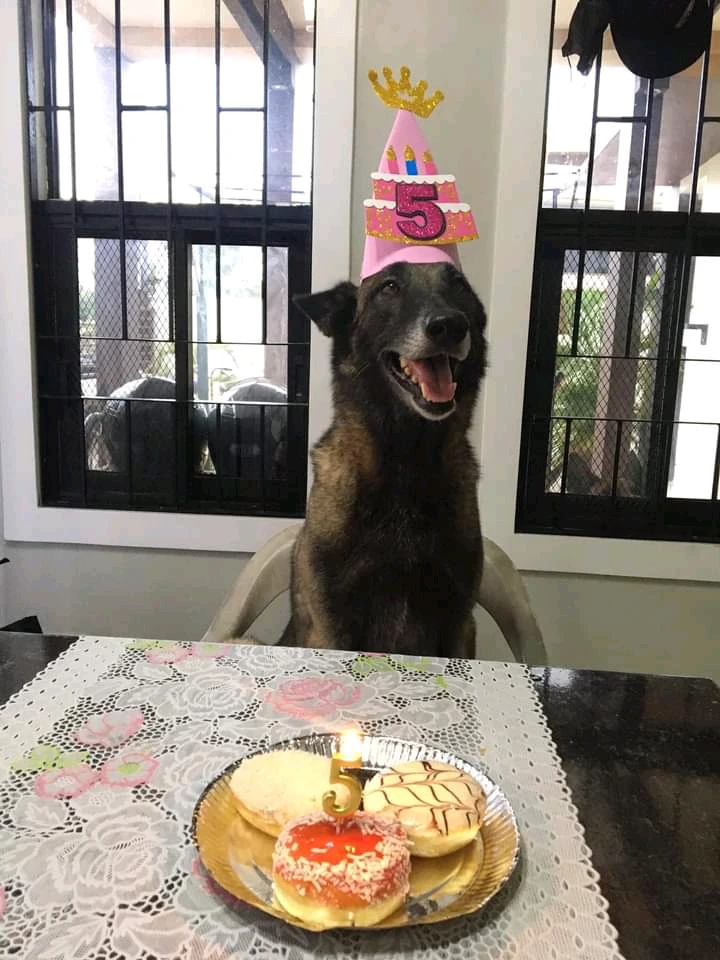 Image uploaded by Georgie