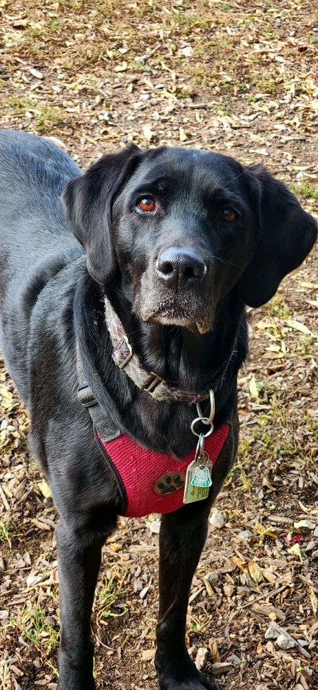 Image uploaded by Yaara