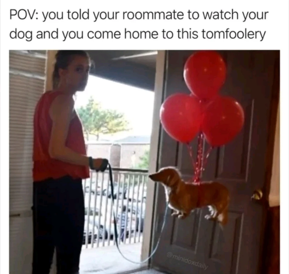 Image uploaded by Tonny