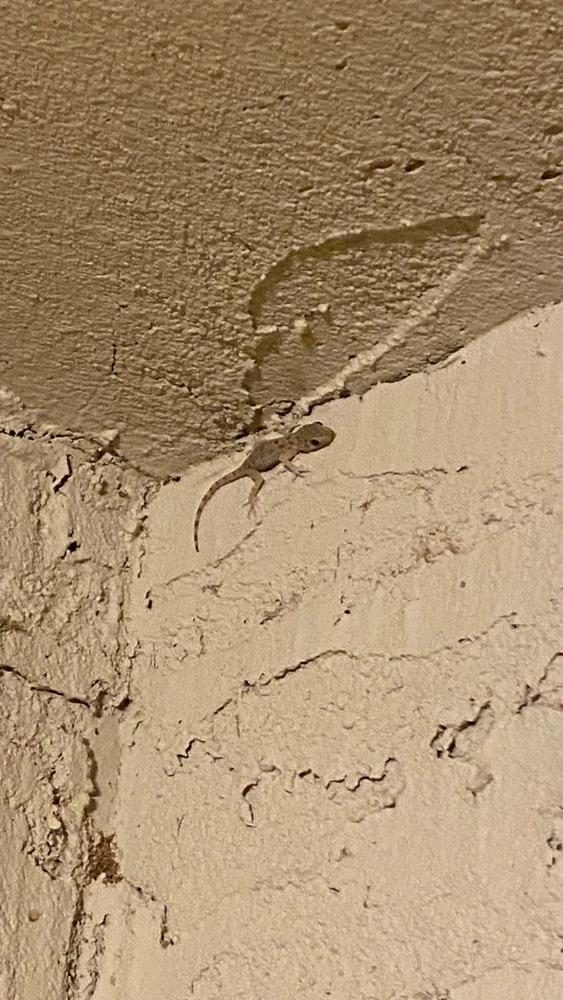 Image uploaded by Kyle