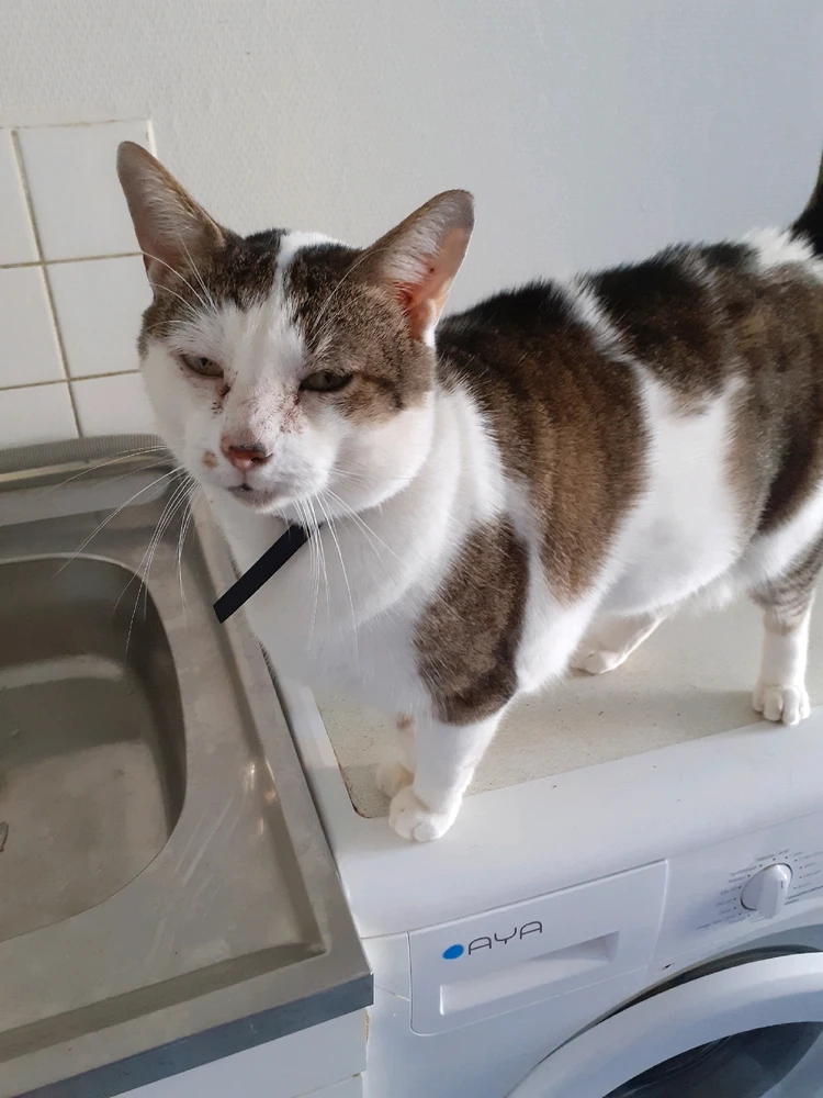 Image ajoutée par Patricia