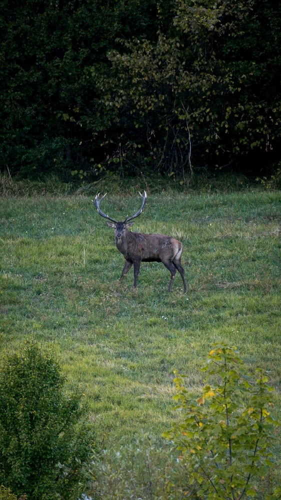 Immagine caricata da Francesco