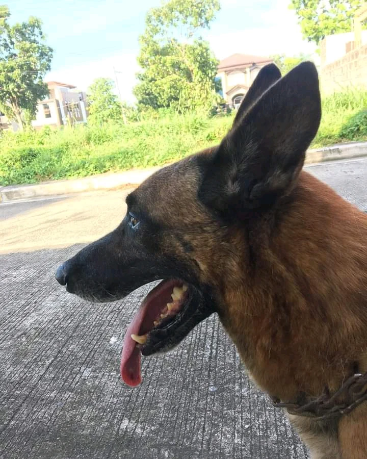 I-upload ni Georgie ang larawan