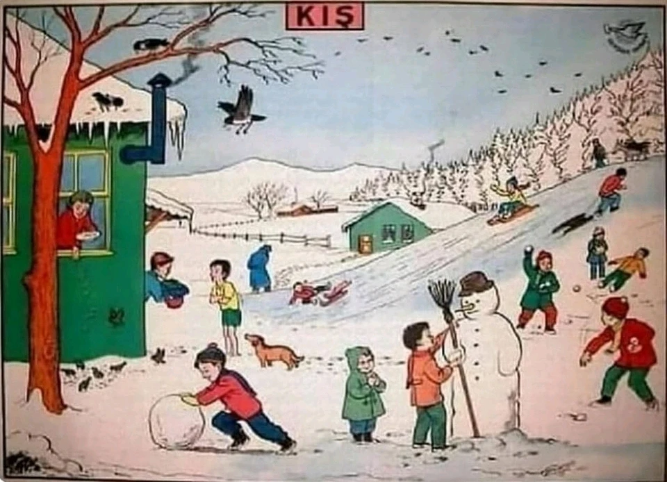 Timur tarafından yüklenen görsel