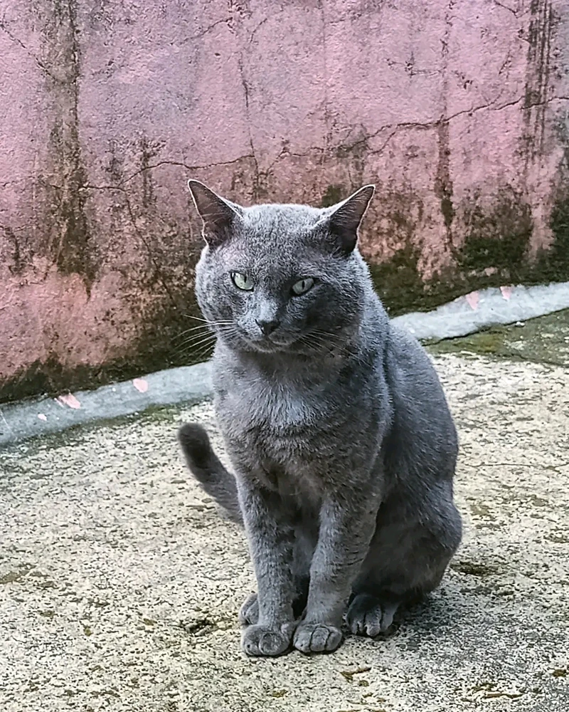 Imagem enviada por Liam