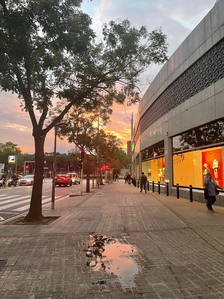 Imatge pujada per Meri