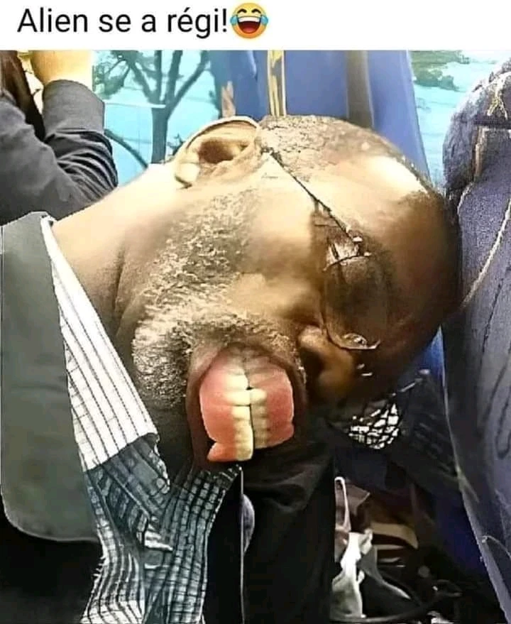 Molnár Erik által feltöltött kép