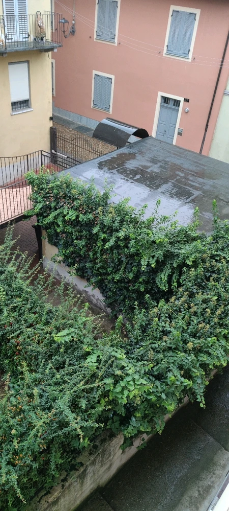 Immagine caricata da Evil-Munich