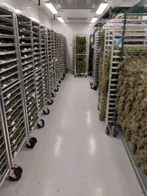 Image uploaded by Timmy