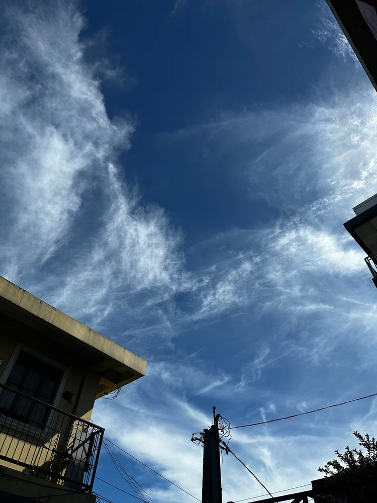 Image uploaded by Aki