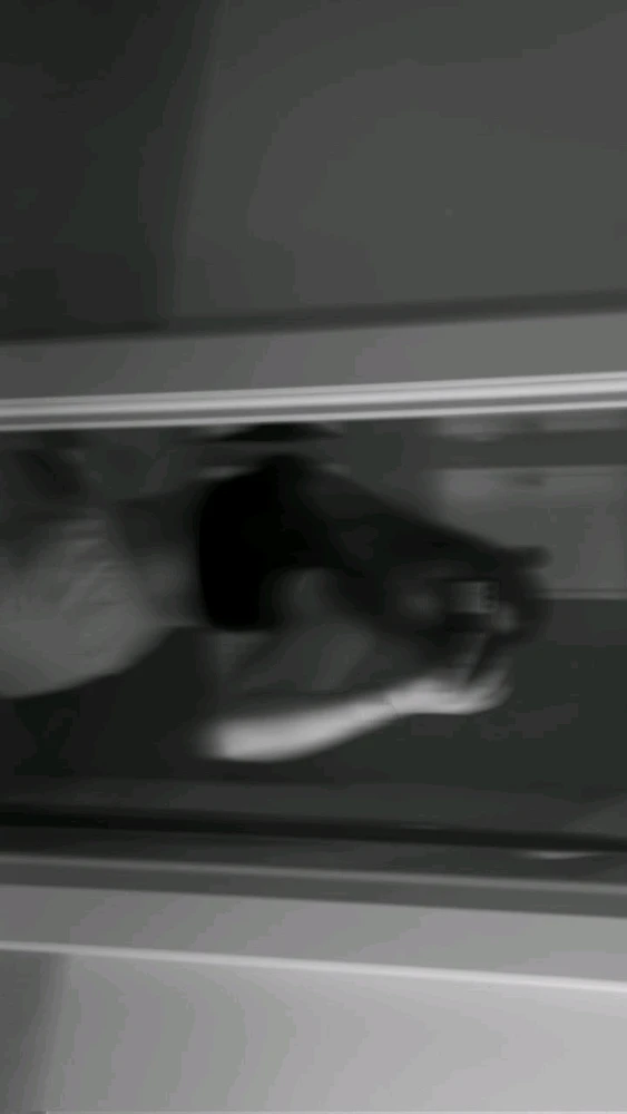 Zdjęcie dodane przez Ankka