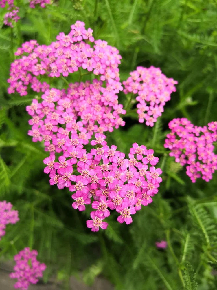 Фото загрузил Valeriya