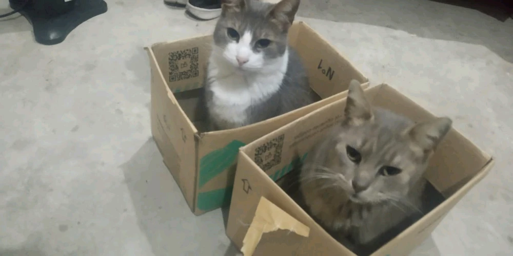 Imagen subida por Camila