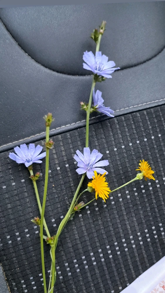 Immagine caricata da Aghartha86