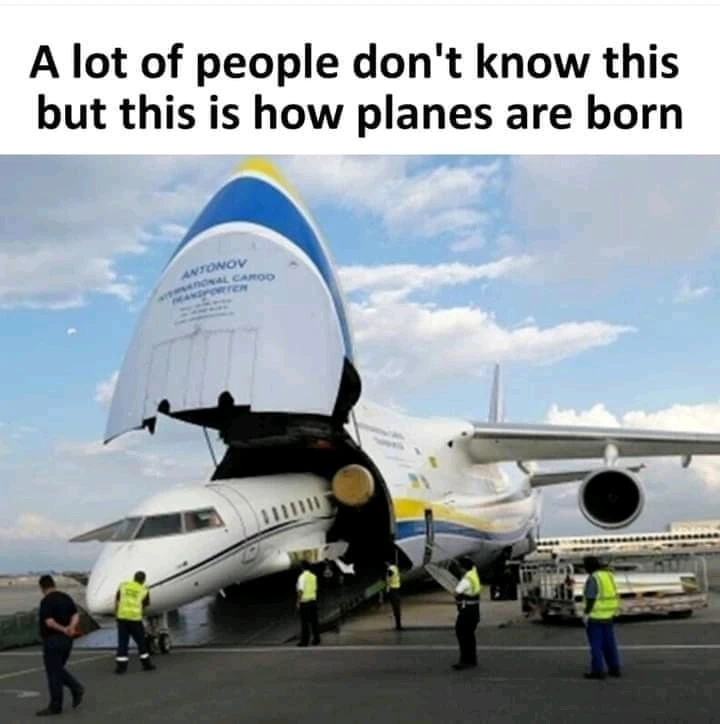 Image uploaded by Anaid