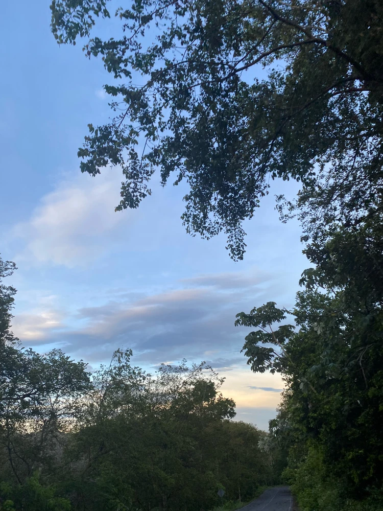 Prent opgelaai deur Nabi