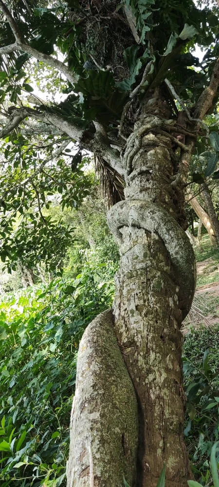 Imagen subida por Juan