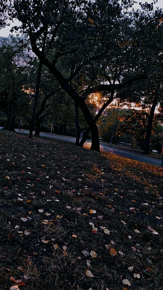 Obrázek nahrál Tobias