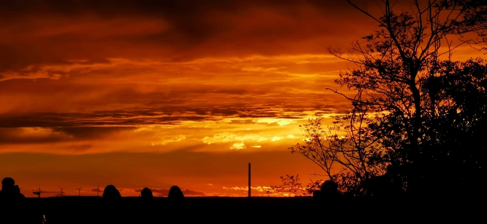 Image uploaded by Marc