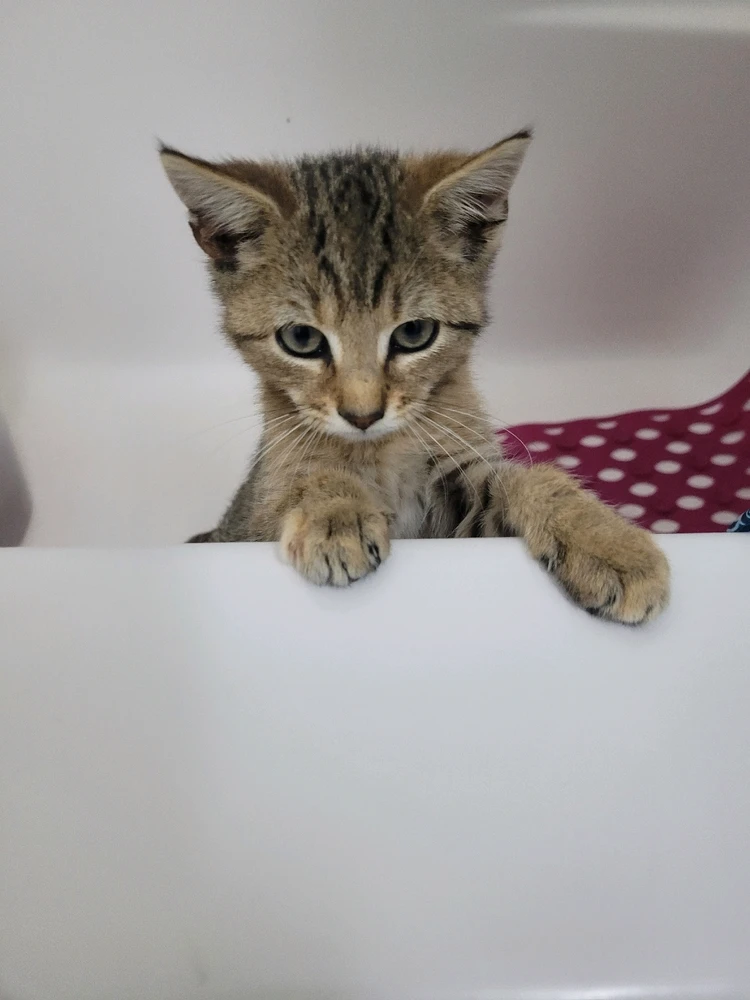 Image uploaded by Qing Mother