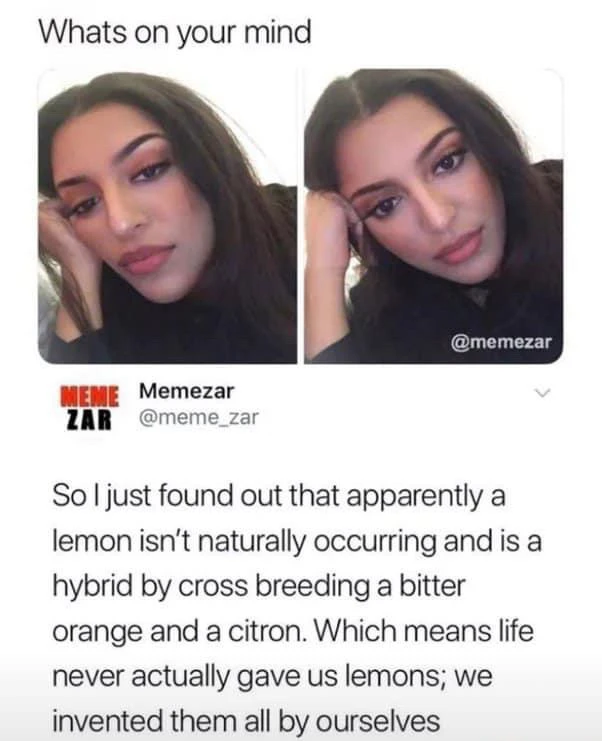 Image uploaded by Jessie David