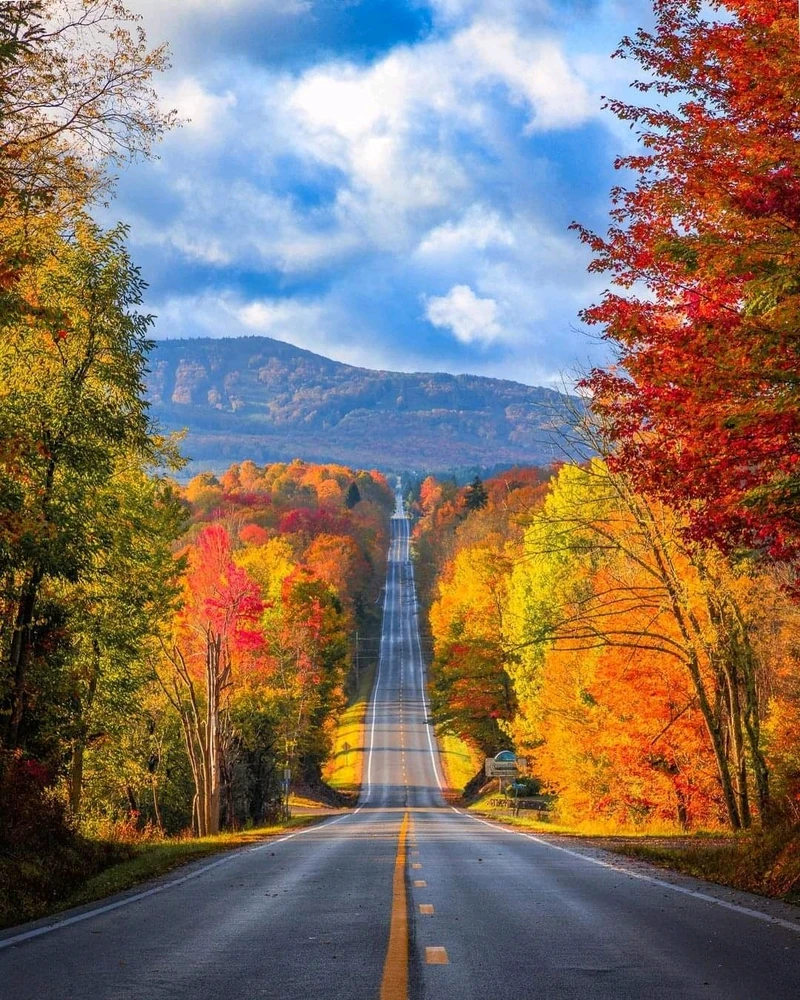 Image uploaded by Jan said