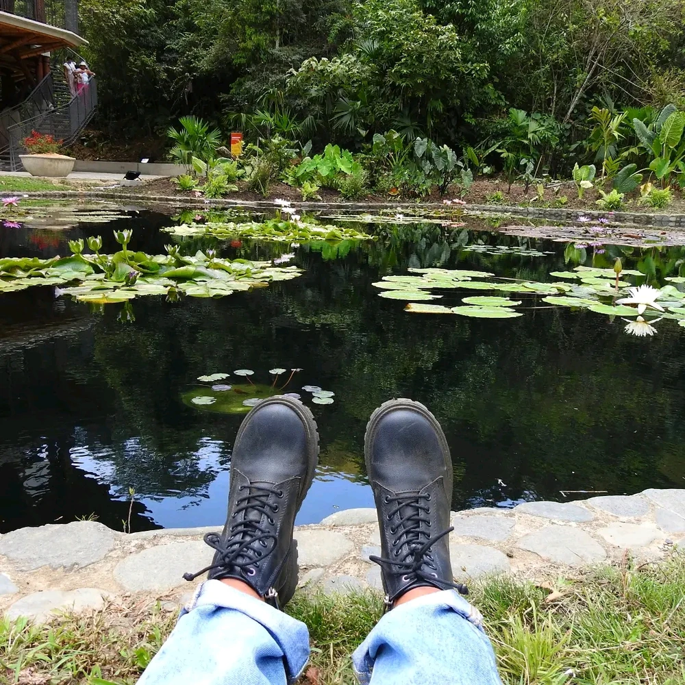 Imagen subida por Ela