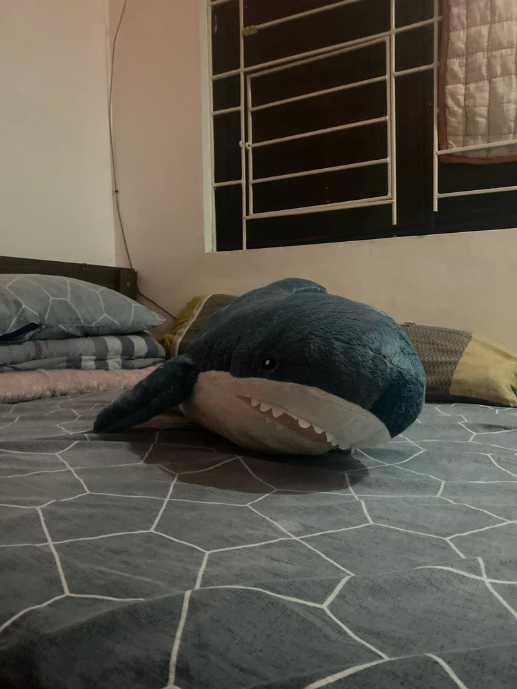 Image uploaded by Maumau