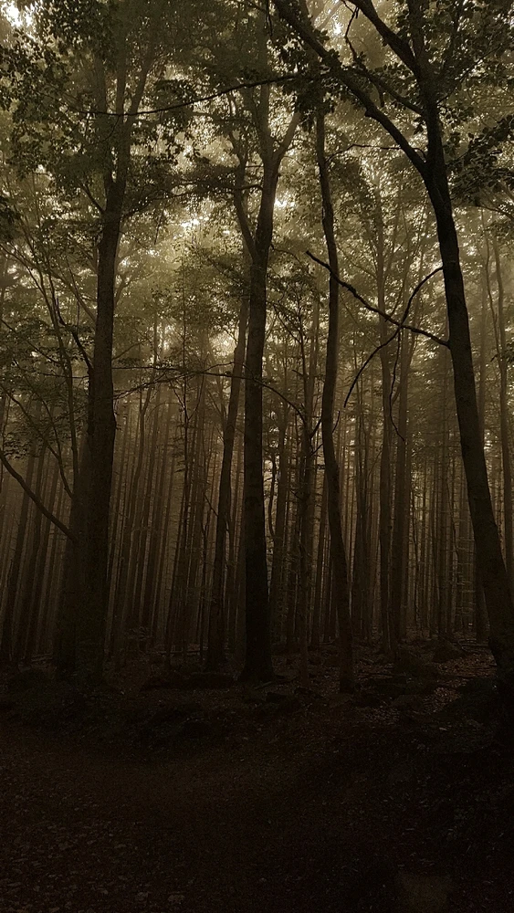 Zdjęcie dodane przez Mateusz
