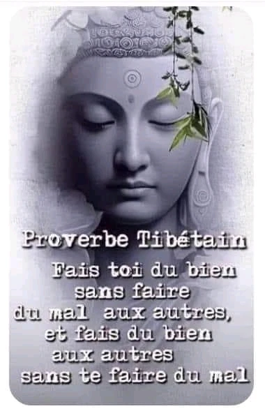 Image ajoutée par Mikael