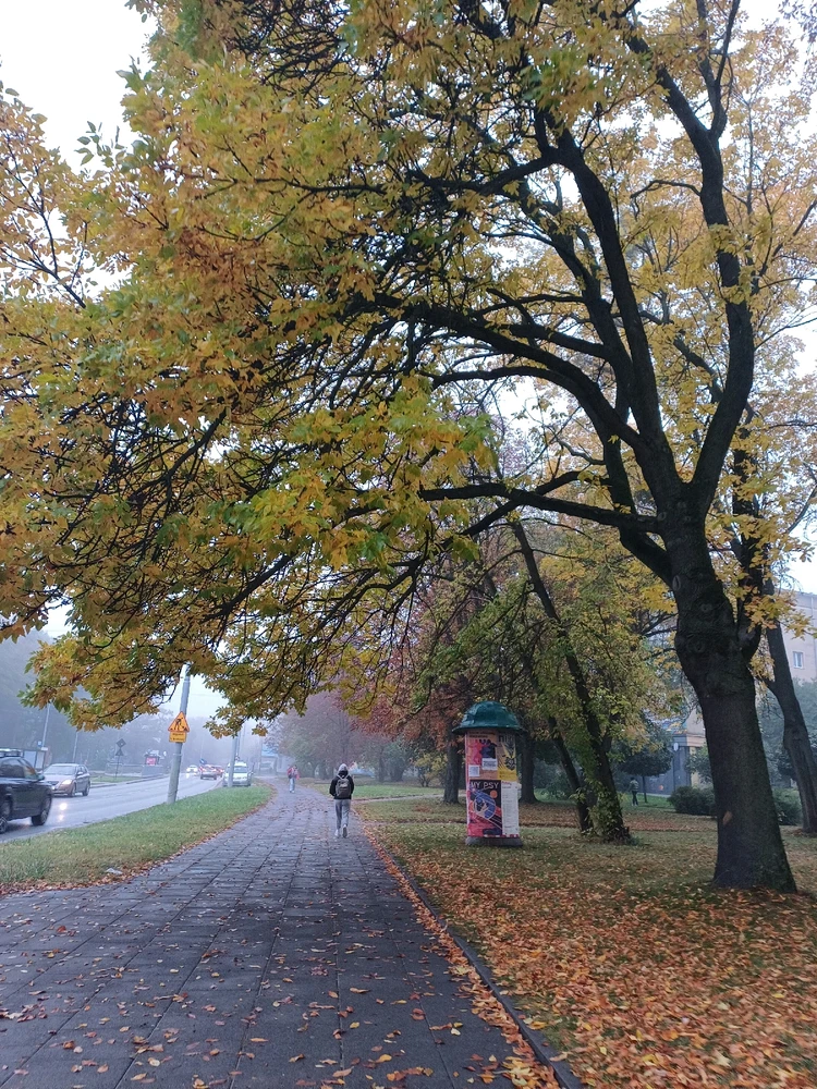 Zdjęcie dodane przez Natalia